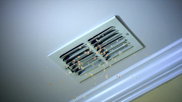 Best Home Air Vent Cleaning  in Pike Road, AL