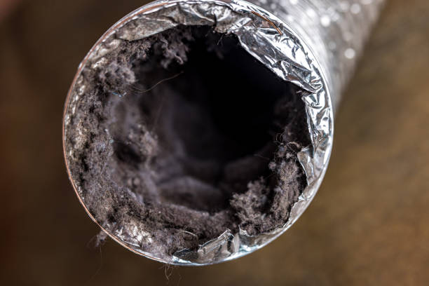 Best Dryer Vent Cleaning Services  in Pike Road, AL